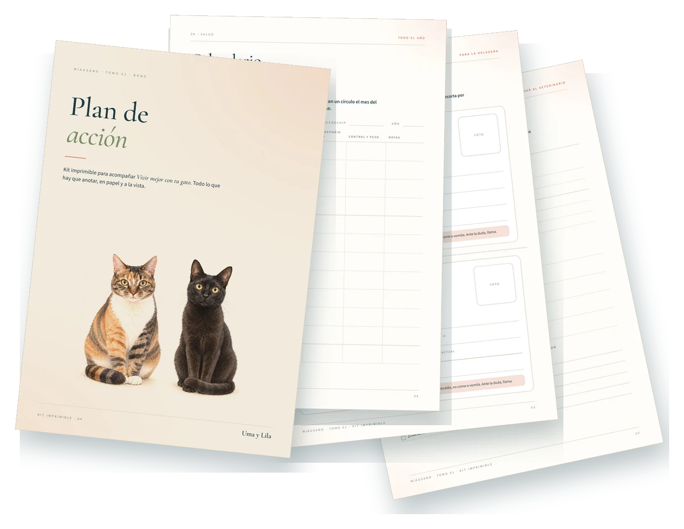 Hojas del kit imprimible Plan de acción